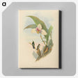 2-73_John-Gould_canvas