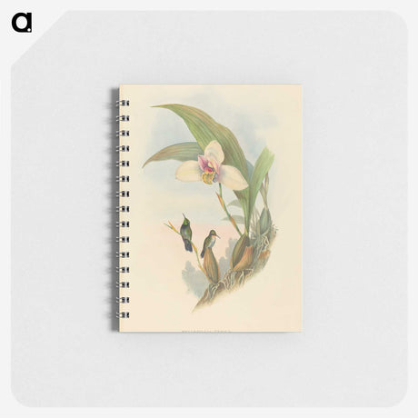 2-73_John-Gould_memo