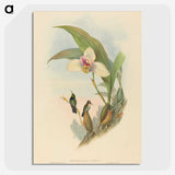 2-73_John-Gould_picture-crop