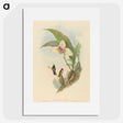 2-73_John-Gould_picture