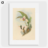 2-73_John-Gould_picture