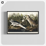 2-73_John-James-Audubon_blk-crop