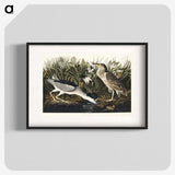 2-73_John-James-Audubon_blk