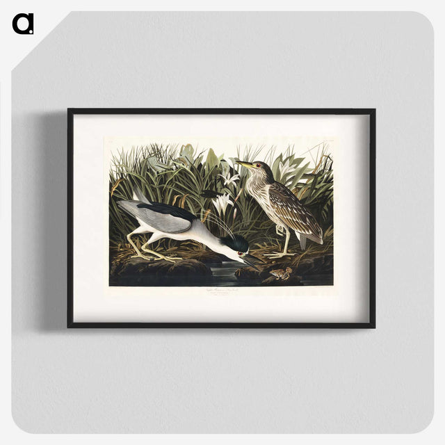 2-73_John-James-Audubon_blk