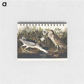 アートメモ帳-Night Heron
 - ジョン ジェームス オーデュボン Memo.