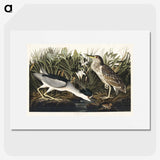 2-73_John-James-Audubon_picture