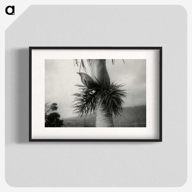 2-73_Leslie-Adkin_blk