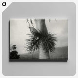 2-73_Leslie-Adkin_canvas