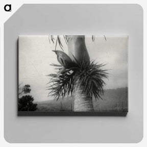 2-73_Leslie-Adkin_canvas