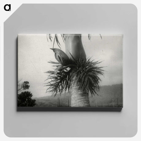 2-73_Leslie-Adkin_canvas