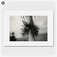 2-73_Leslie-Adkin_picture