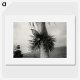 2-73_Leslie-Adkin_picture