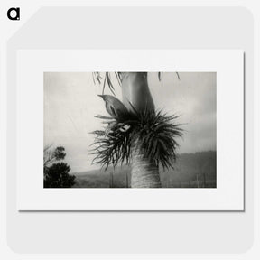 2-73_Leslie-Adkin_picture
