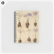 2-73_Maria-Sibylla-Merian_memo