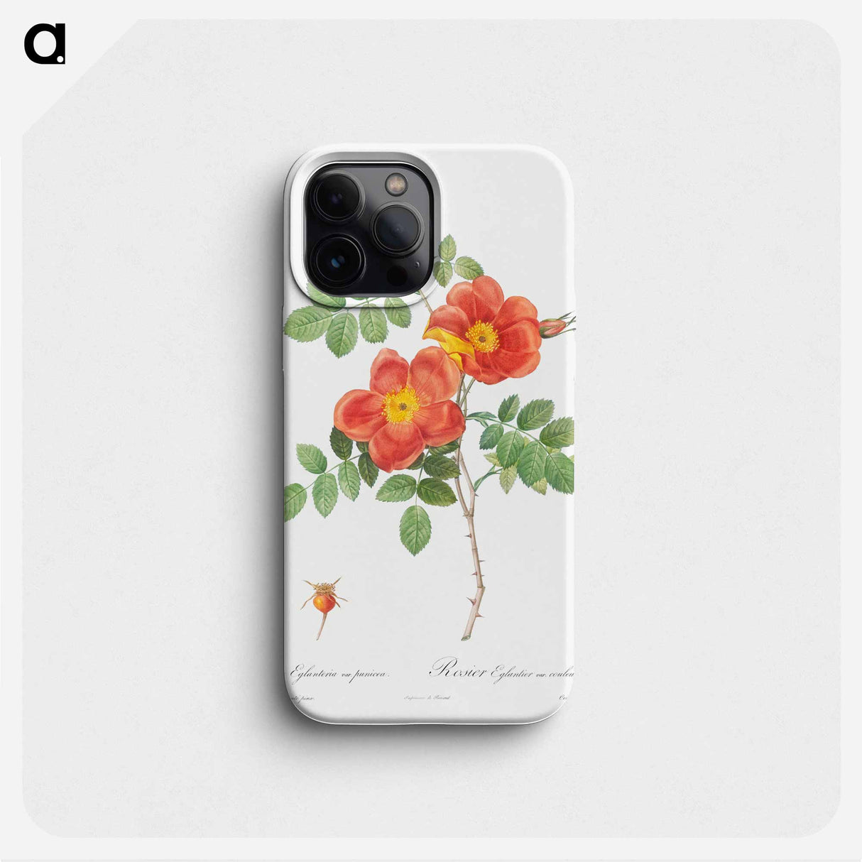 Austrian Copper Rose - Pierre Joseph Redouté Phone Case.
