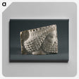 2-73_Saint-Louis-Art-Museum_canvas