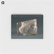 アートメモ帳-Soldier Relief Fragment
 - セントルイス美術館 Memo.