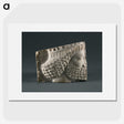 2-73_Saint-Louis-Art-Museum_picture