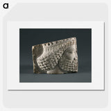2-73_Saint-Louis-Art-Museum_picture