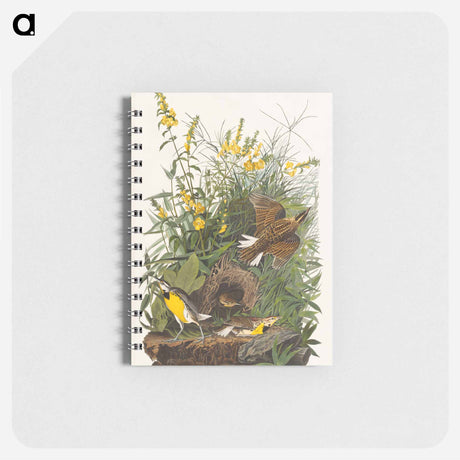 アートメモ帳-Meadow Lark from Birds of America
 - アメリカの鳥たち Memo.