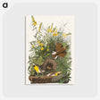 アートポストカード-Meadow Lark from Birds of America
 - アメリカの鳥たち Postcard.