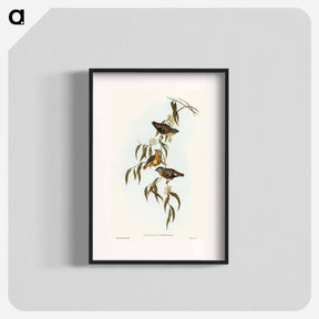 アートポスター-Spotted Pardalote
 - オーストラリアの鳥 Poster.
