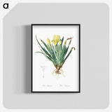 2-73_The-Lilies_blk-crop