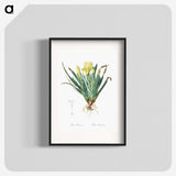 2-73_The-Lilies_blk