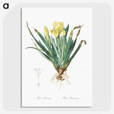 2-73_The-Lilies_picture-crop