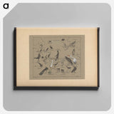 Verschillende vogelsoorten - テオ ヴァン ホイテマ Canvas.