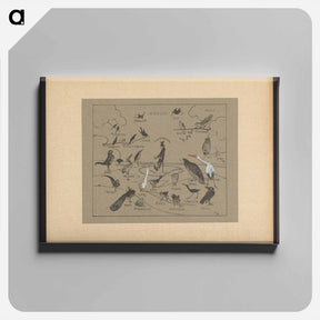 アートパネル-Verschillende vogelsoorten - テオ ヴァン ホイテマ Canvas.