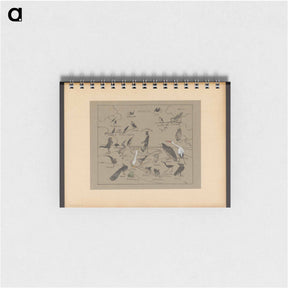 アートメモ帳-Verschillende vogelsoorten - テオ ヴァン ホイテマ Memo.