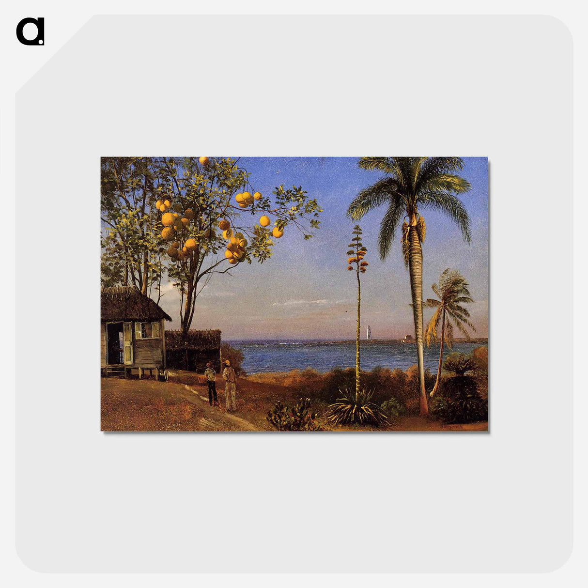 A View in the Bahamas - アルバート ビアスタット Postcard.