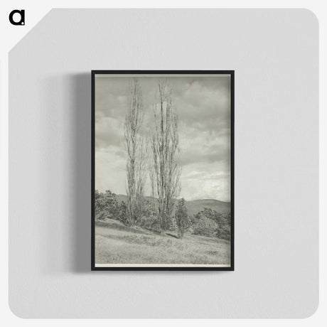 2-74_Alfred-Stieglitz_blk-crop