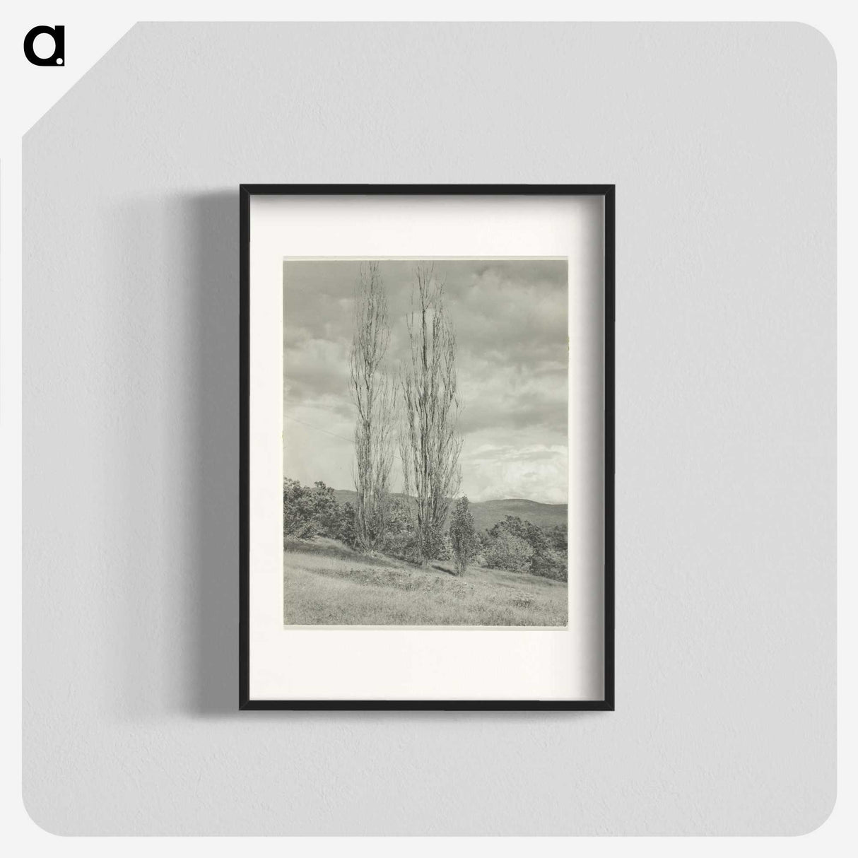 2-74_Alfred-Stieglitz_blk