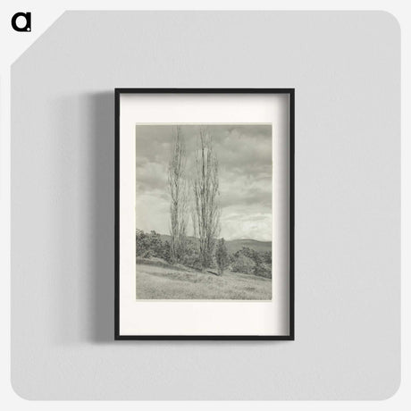 2-74_Alfred-Stieglitz_blk