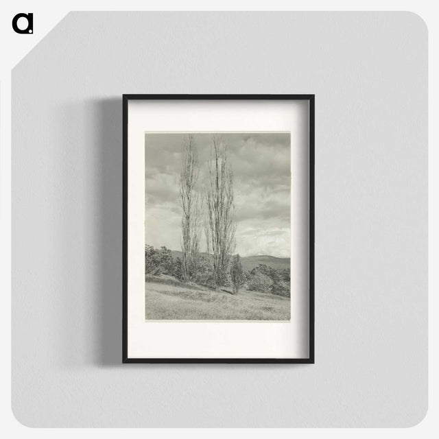 2-74_Alfred-Stieglitz_blk