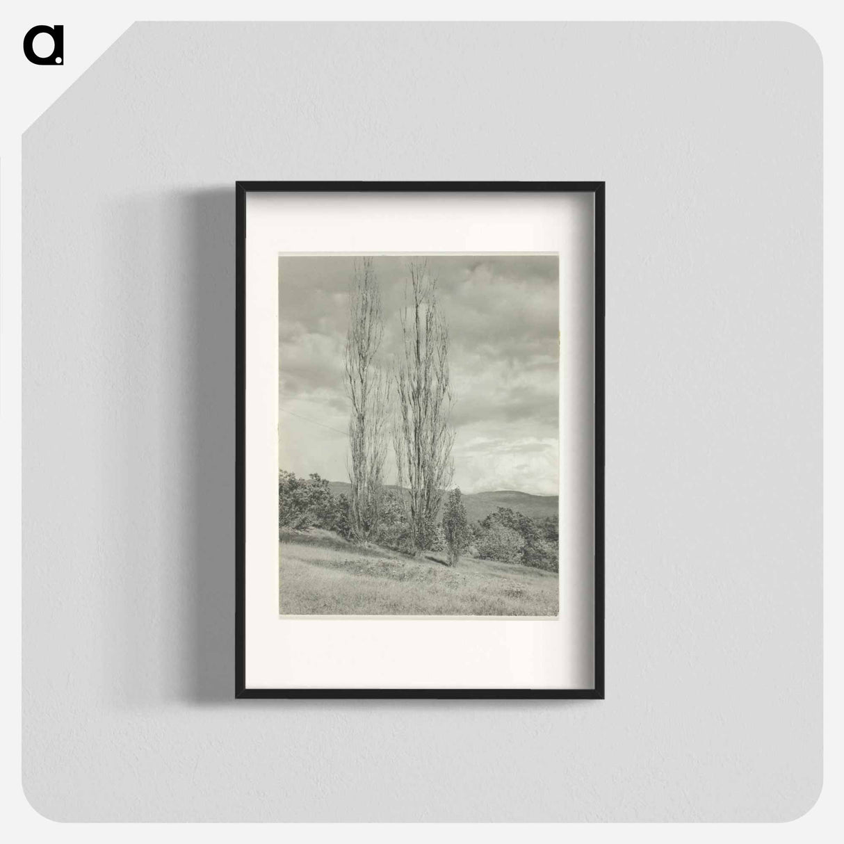 Poplars—Lake George - アルフレッド スティーグリッツ Poster.