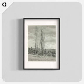アートポスター-Poplars—Lake George - アルフレッド スティーグリッツ Poster.