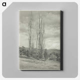 2-74_Alfred-Stieglitz_canvas