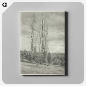 2-74_Alfred-Stieglitz_canvas