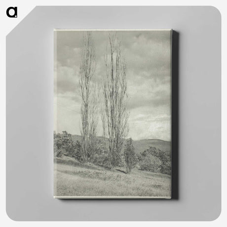 2-74_Alfred-Stieglitz_canvas