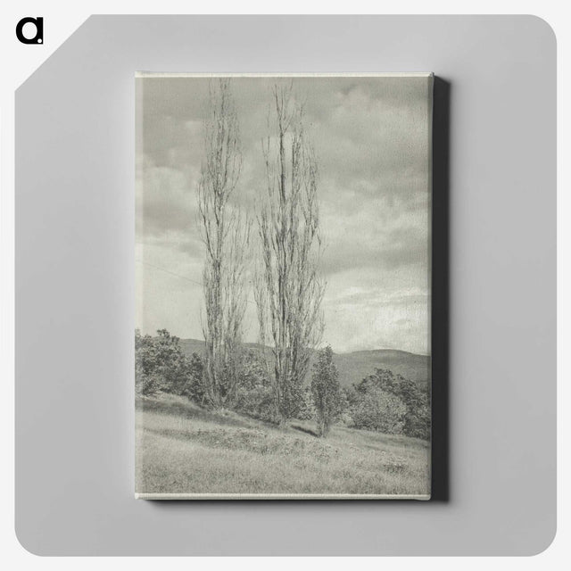 2-74_Alfred-Stieglitz_canvas