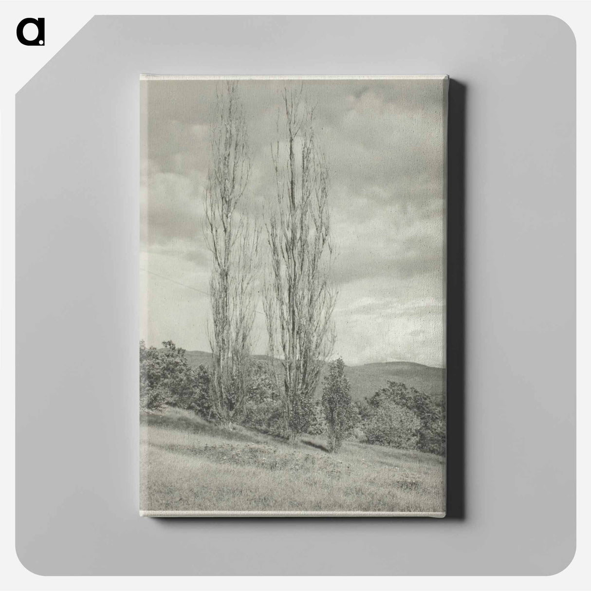 Poplars—Lake George - アルフレッド スティーグリッツ Canvas.