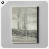 Poplars—Lake George - アルフレッド スティーグリッツ Canvas.
