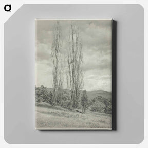 アートパネル-Poplars—Lake George - アルフレッド スティーグリッツ Canvas.