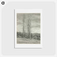 アートポストカード-Poplars—Lake George - アルフレッド スティーグリッツ Postcard.