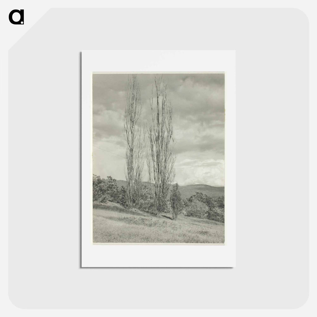 アートポストカード-Poplars—Lake George - アルフレッド スティーグリッツ Postcard.