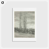アートポストカード-Poplars—Lake George - アルフレッド スティーグリッツ Postcard.