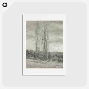 アートポストカード-Poplars—Lake George - アルフレッド スティーグリッツ Postcard.